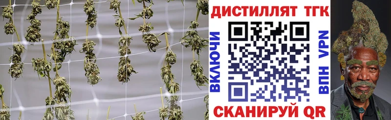 Дистиллят ТГК концентрат  кракен вход  Мезень 
