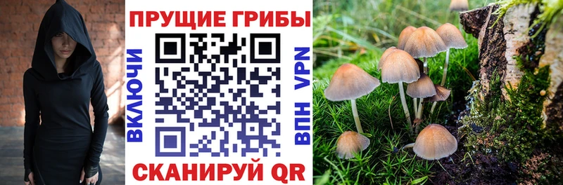 Псилоцибиновые грибы мицелий  Мезень 